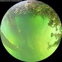 ./images/calvert/underwater/20260606/underwater20260606_141501M.jpg