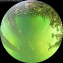 ./images/calvert/underwater/20260606/underwater20260606_142001M.jpg