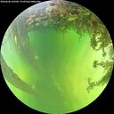 ./images/calvert/underwater/20260606/underwater20260606_142501M.jpg
