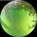 ./images/calvert/underwater/20260606/underwater20260606_143501M.jpg