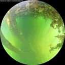 ./images/calvert/underwater/20260606/underwater20260606_144001M.jpg