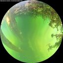 ./images/calvert/underwater/20260606/underwater20260606_144501M.jpg