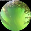 ./images/calvert/underwater/20260606/underwater20260606_145001M.jpg