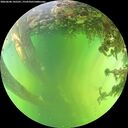./images/calvert/underwater/20260606/underwater20260606_145501M.jpg