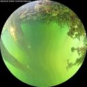 ./images/calvert/underwater/20260606/underwater20260606_150001M.jpg