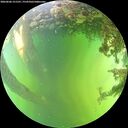 ./images/calvert/underwater/20260606/underwater20260606_151501M.jpg