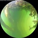 ./images/calvert/underwater/20260606/underwater20260606_152001M.jpg