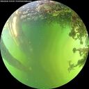 ./images/calvert/underwater/20260606/underwater20260606_152532M.jpg