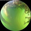 ./images/calvert/underwater/20260606/underwater20260606_154001M.jpg