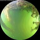 ./images/calvert/underwater/20260606/underwater20260606_154501M.jpg