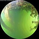 ./images/calvert/underwater/20260606/underwater20260606_155001M.jpg