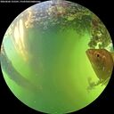 ./images/calvert/underwater/20260606/underwater20260606_155501M.jpg