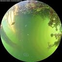 ./images/calvert/underwater/20260606/underwater20260606_160001M.jpg