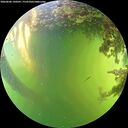 ./images/calvert/underwater/20260606/underwater20260606_160501M.jpg