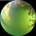 ./images/calvert/underwater/20260606/underwater20260606_161001M.jpg