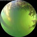 ./images/calvert/underwater/20260606/underwater20260606_161502M.jpg