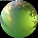 ./images/calvert/underwater/20260606/underwater20260606_162001M.jpg