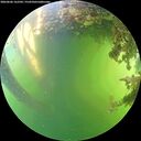 ./images/calvert/underwater/20260606/underwater20260606_162501M.jpg