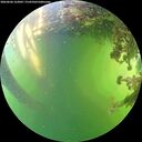 ./images/calvert/underwater/20260606/underwater20260606_163001M.jpg