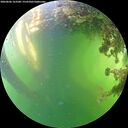 ./images/calvert/underwater/20260606/underwater20260606_163501M.jpg