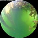 ./images/calvert/underwater/20260606/underwater20260606_165501M.jpg