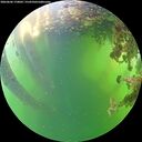 ./images/calvert/underwater/20260606/underwater20260606_170002M.jpg