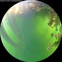 ./images/calvert/underwater/20260606/underwater20260606_170501M.jpg