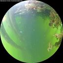 ./images/calvert/underwater/20260606/underwater20260606_175502M.jpg