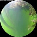 ./images/calvert/underwater/20260606/underwater20260606_180501M.jpg