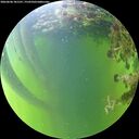 ./images/calvert/underwater/20260606/underwater20260606_181501M.jpg