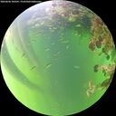 ./images/calvert/underwater/20260606/underwater20260606_183501M.jpg