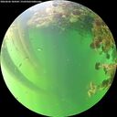 ./images/calvert/underwater/20260606/underwater20260606_184501M.jpg