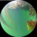./images/calvert/underwater/20260606/underwater20260606_191001M.jpg