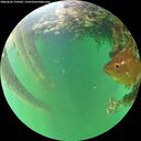 ./images/calvert/underwater/20260606/underwater20260606_194501M.jpg