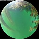 ./images/calvert/underwater/20260606/underwater20260606_195002M.jpg
