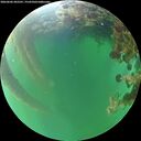 ./images/calvert/underwater/20260606/underwater20260606_202501M.jpg