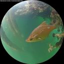 ./images/calvert/underwater/20260606/underwater20260606_212501M.jpg