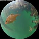 ./images/calvert/underwater/20260606/underwater20260606_213001M.jpg