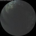 ./images/calvert/underwater/20260607/underwater20260607_043001M.jpg