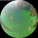 ./images/calvert/underwater/20260607/underwater20260607_103501M.jpg