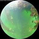 ./images/calvert/underwater/20260607/underwater20260607_104001M.jpg