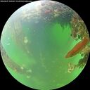 ./images/calvert/underwater/20260607/underwater20260607_104501M.jpg
