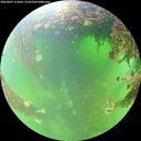 ./images/calvert/underwater/20260607/underwater20260607_121001M.jpg