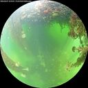 ./images/calvert/underwater/20260607/underwater20260607_123501M.jpg
