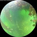 ./images/calvert/underwater/20260607/underwater20260607_132501M.jpg