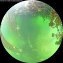./images/calvert/underwater/20260607/underwater20260607_134001M.jpg