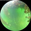 ./images/calvert/underwater/20260607/underwater20260607_134501M.jpg
