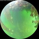 ./images/calvert/underwater/20260607/underwater20260607_135501M.jpg