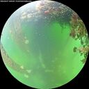 ./images/calvert/underwater/20260607/underwater20260607_140501M.jpg
