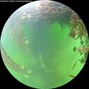 ./images/calvert/underwater/20260607/underwater20260607_141001M.jpg
